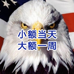 德保要账公司